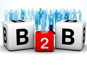 京東B2B電子銷(xiāo)售 為何能在阿里失手處成功？